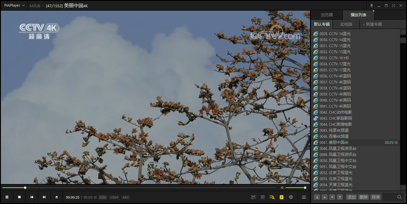 PotPlayer v1.7.22777绿色版