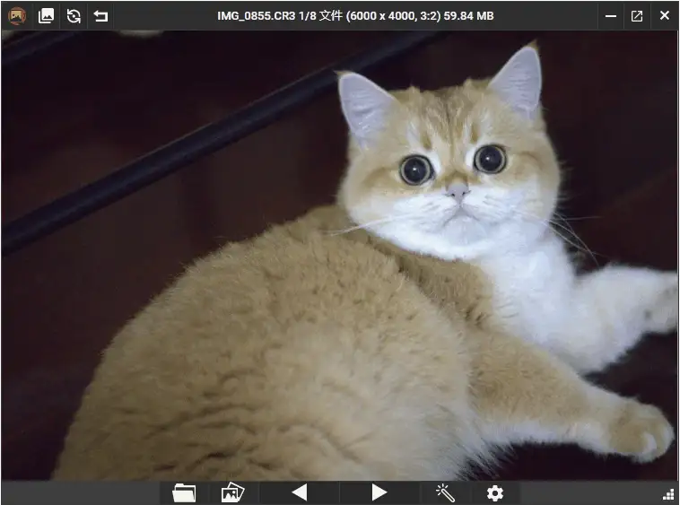 PicView看图工具v4.1.0绿色版